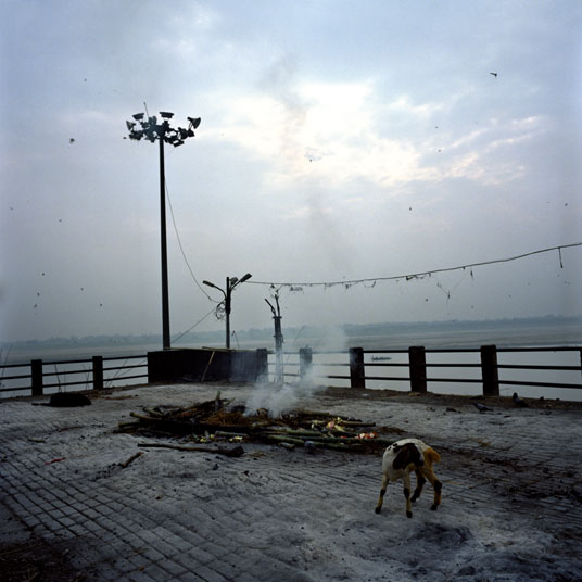 India 11