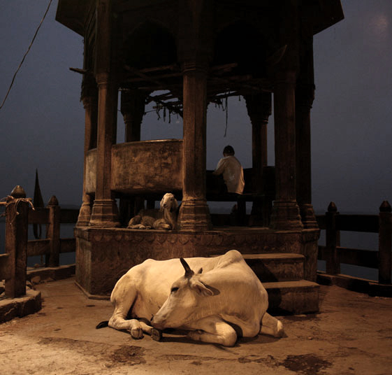 India 8